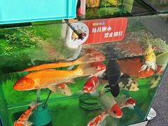-老姐石板烧烤+铜炭火锅(总店)