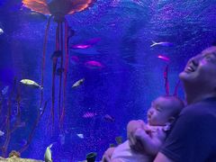 -沈阳海洋探索中心