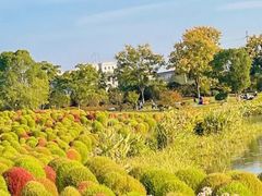 -径山花海