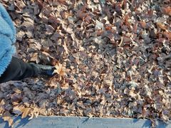 -河南省黄河迎宾馆