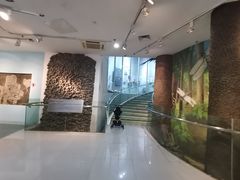 -烟台自然博物馆