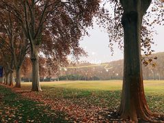 -河南省黄河迎宾馆