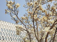 -北京园博大酒店