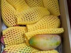 -上海龙吴水胜海发市场