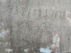 -南京小时候桑葚采摘园