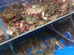 -宾朋海鲜特色美食餐厅·纯手工鲅鱼水饺(兴海路店)