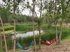 -东郊湿地公园