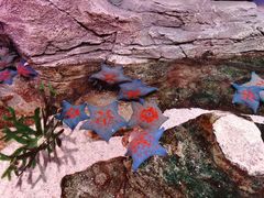 -沈阳海洋探索中心