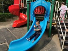 -大兴滨河森林公园