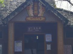 -独树成林