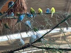 -南宫五洲植物乐园