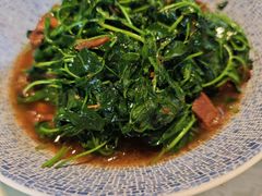 金花菜蚌肉-金典银峰老鹅馆·昆山菜(亭林公园店)
