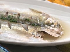 清蒸白丝鱼-芸海阁·农家私房菜(沙家浜景区出口店)