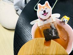 柴柴红茶-逗柴咖啡屋·狗咖猫咖宠物桌游