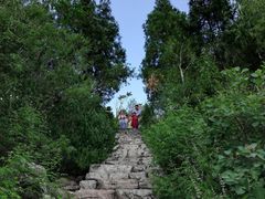 -府君山公园