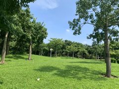 -顺峰山公园