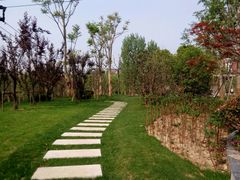 -四里河滨水生态公园