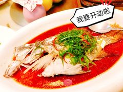 清蒸海鱼-鹏城人家海鲜酒家·23年老字号(较场尾店)