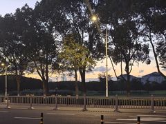 -苏州独墅湖体育馆