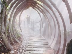 景点-青青世界