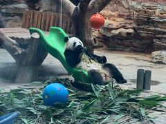 -石家庄市动物园