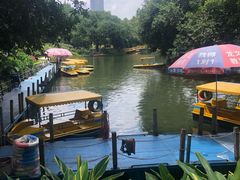 -晓港公园