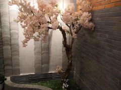 -迈格笙SPA·影院式足道·采耳(金桥店)