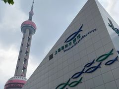 -上海海洋水族馆