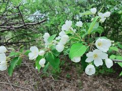 -鹫峰国家森林公园