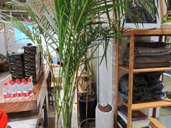 -M+hair salon专业造型沙龙