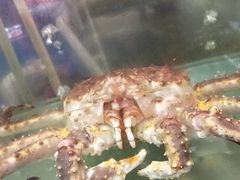 -兄弟爬爬虾(北京路店)