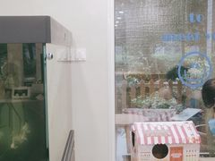 -伟伟宠物医院·CT影像中心·瑞派犬猫综合性门诊(汉口总院)