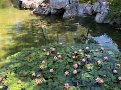 -汉庭顿图书馆