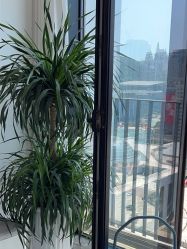 -Hello Lady发型设计