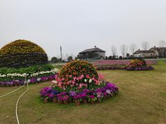 -花博汇(知音花月夜)