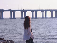 -宝安西湾红树林湿地公园