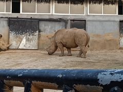 -泉州海丝野生动物世界