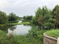 -水八仙生态园