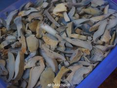 -翕庐小苑