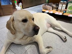 -FAELING PETS美天灵宠物(富力广场店)