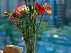 -普朗姆生蚝牛排馆 The Plump Oyster(成都摩方购物中心店)