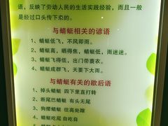 -上海昆虫博物馆