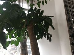 -宣威山野人家·云南菜·菌火锅(金碧店)