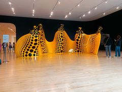 -旧金山现代艺术博物馆