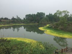 -桤木河湿地公园