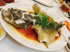 -有腥气私房菜·寻味顺德