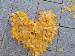 -北京石刻艺术博物馆(五塔寺)