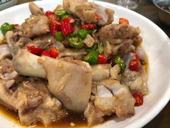 鲜椒蹄花-双流老字号董蹄花(广场路店)