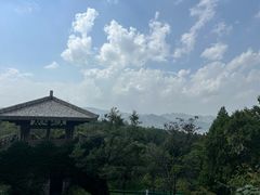 -原山国家森林公园