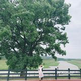 作为长沙人就不去跟外地人挤国金街了，给外地人腾个地